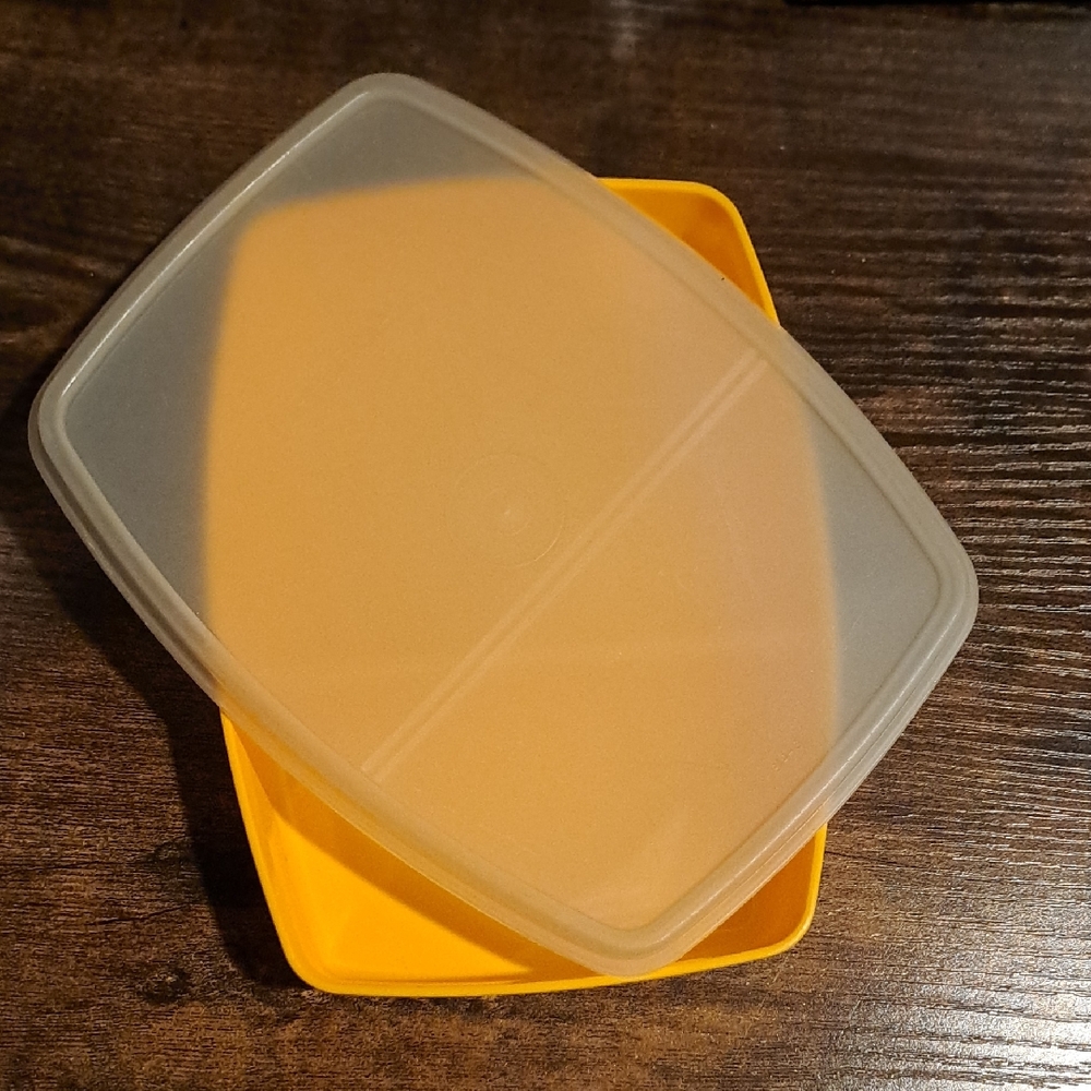 Vintage Tupperware Container